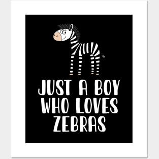 Just A Boy Who Loves Zebras Posters and Art